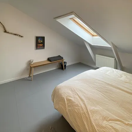 Cozy In With Wifi